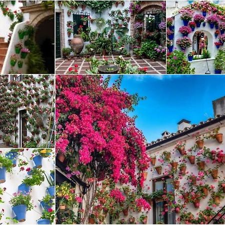 Apartamento Centrico En El Casco Historico De Córdoba Eksteriør billede