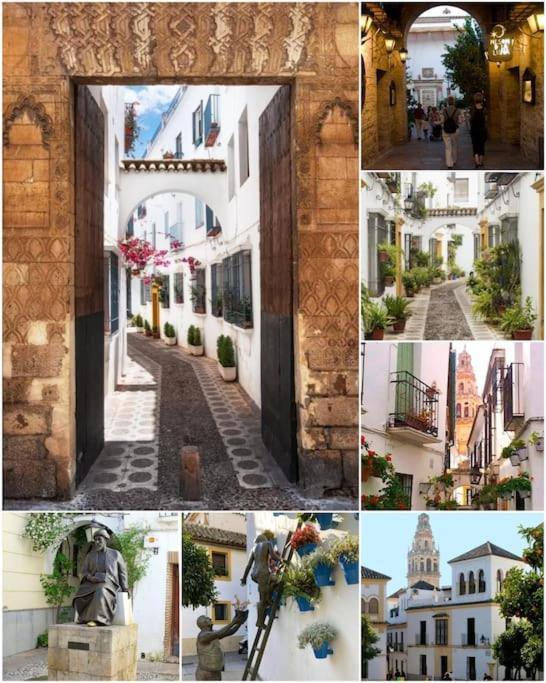 Apartamento Centrico En El Casco Historico De Córdoba Eksteriør billede