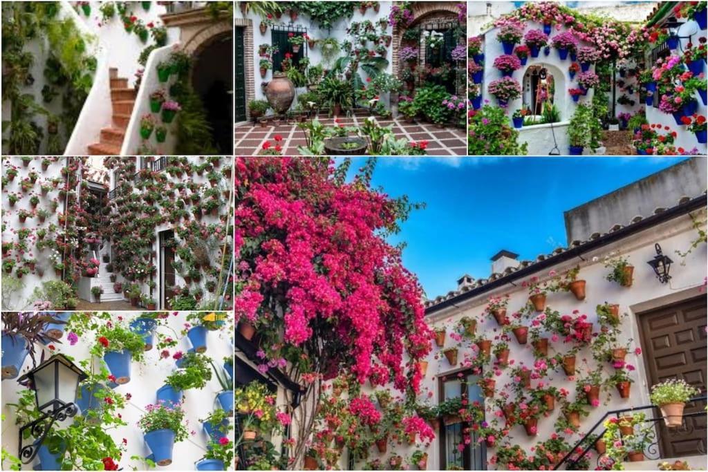 Apartamento Centrico En El Casco Historico De Córdoba Eksteriør billede
